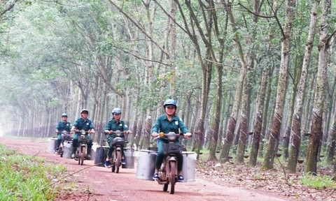 Tập đoàn Công nghiệp Cao su Việt Nam đẩy mạnh tăng trưởng xanh